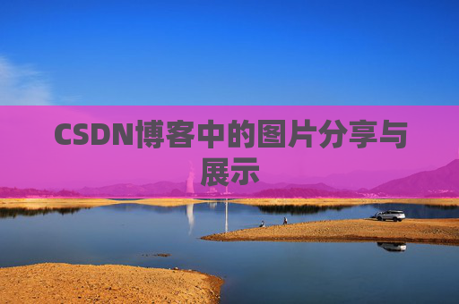 CSDN博客中的图片分享与展示